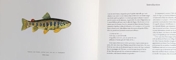 De prachtige forelinventaris, Watersport en Boten, Hengelsport | Algemeen, Ophalen of Verzenden