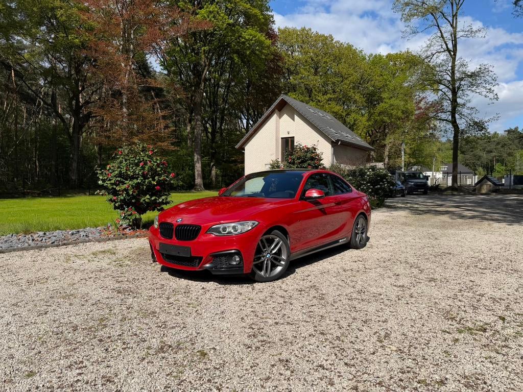 BMW 218i Pack M, Autos, BMW, Particulier, Série 2, Climatisation automatique, Essence, Euro 6, Coupé, 2 portes, Boîte manuelle