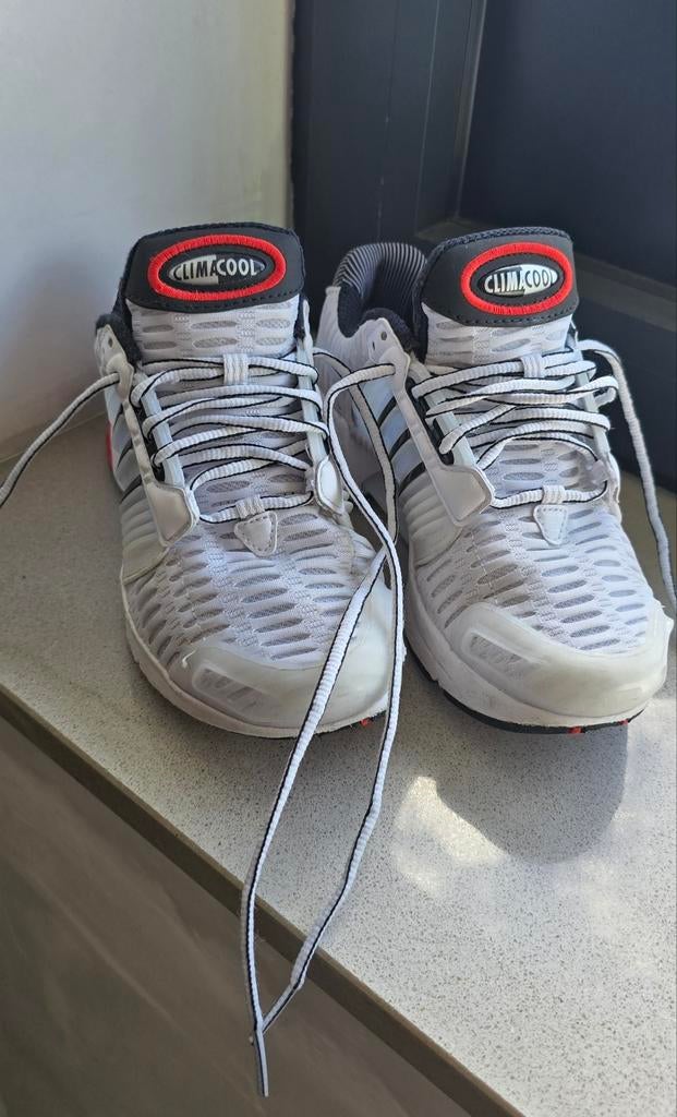 Chaussure de sport Adidas, Enlèvement, Chaussures de sport