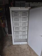 Congélateur Armoire Professionnel IARP - Haute Capacité, Enlèvement ou Envoi, Utilisé, Refroidissement et Congélation