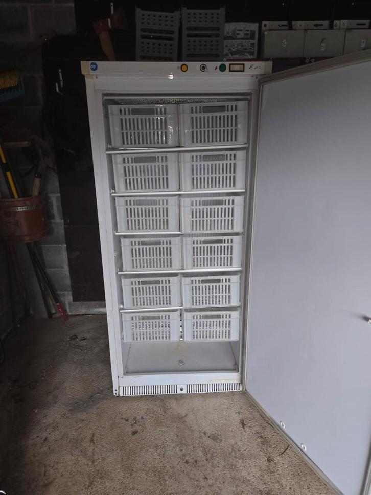 Congélateur Armoire Professionnel IARP - Haute Capacité, Articles professionnels, Horeca | Équipement de cuisine, Refroidissement et Congélation