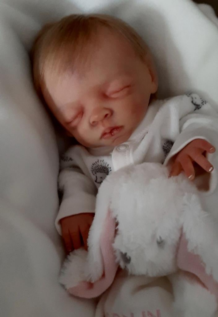 Reborn baby, Ophalen, Nieuw, Pop, Levensecht of Reborn