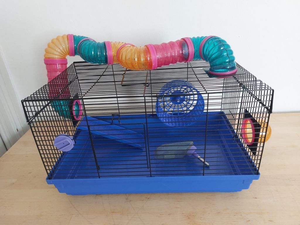Cage à hamster, Animaux & Accessoires, Enlèvement, Cage, Hamster