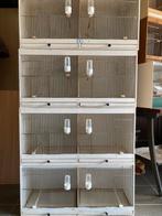 Gereserveerd voor patrick.kweekkooien 80x 40x40, Ophalen, Zo goed als nieuw, Overige materialen, Broedkooi of Kweekkooi