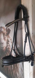 Dobert hoofdstel, Dieren en Toebehoren, Ophalen, Gebruikt, Dressuur