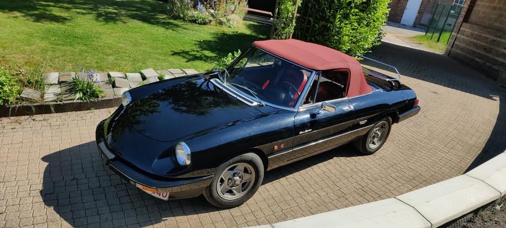 Ancêtre Alfa Romeo Spider Année 1986, Particulier, Achat, Spider
