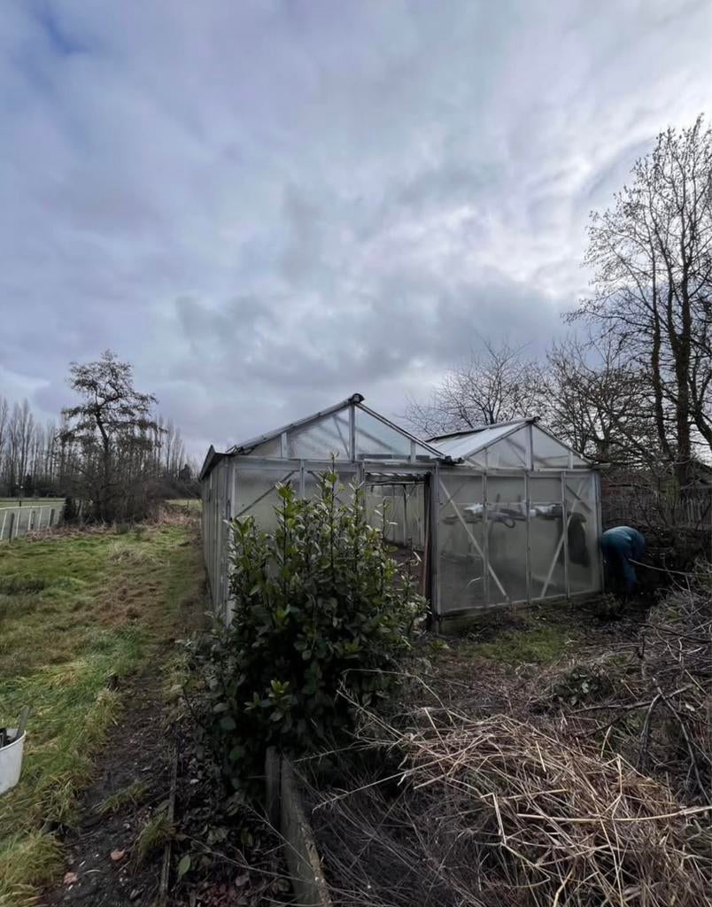 GRATIS!! Serre, Jardin & Terrasse, Serres, Verre, Serre, Enlèvement, Utilisé