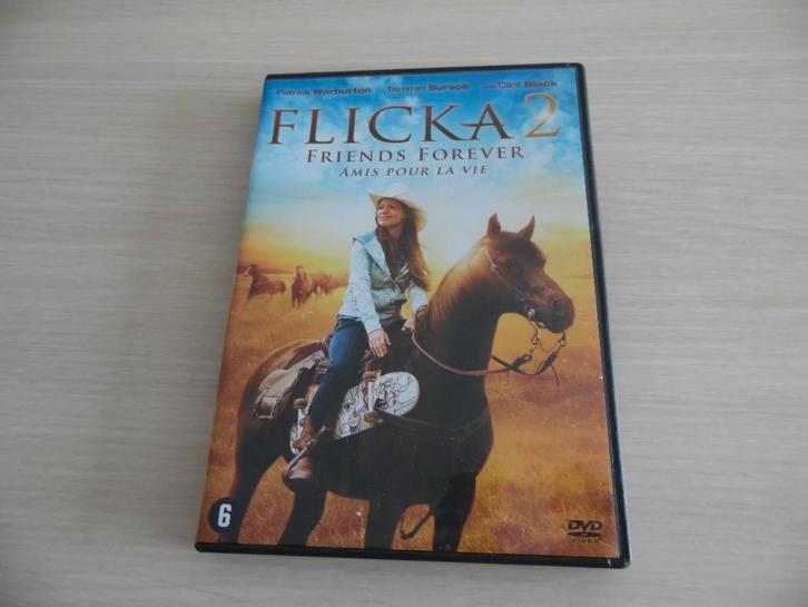 FLICKA 2 AMIS POUR LA VIE, CD & DVD, DVD | Aventure, Comme neuf, À partir de 6 ans, Enlèvement ou Envoi