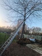 Échelle triple Altrex professionnelle – hauteur 16 m, Pliable ou rétractable/escamotable, Échelle, Enlèvement, Utilisé