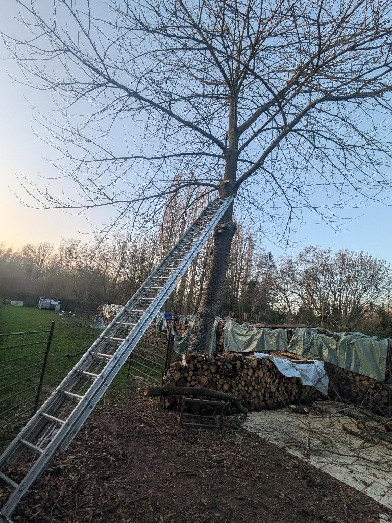 Échelle triple Altrex professionnelle – hauteur 16 m, Bricolage & Construction, Échelles & Escaliers, Utilisé, Échelle, 4 mètres ou plus