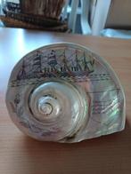 Tulbandschelp, Enlèvement