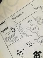 Zoekkaart. Diersporen, Verzenden, Nieuw, Vogels