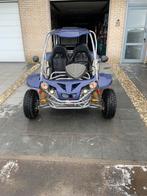 250 cc Renli goedgekeurde buggy voor op de weg, 1 cilinder, 250 cc, 11 kW of minder