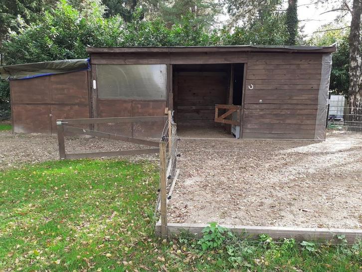 Weide te huur - Wuustwezel, Dieren en Toebehoren, Stalling en Weidegang