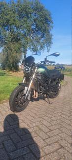Benelli Leoncino 800, Motoren, Motoren | Benelli, 2 cilinders, Particulier, Meer dan 35 kW, 798 cc
