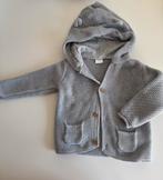 Next vestje, Kinderen en Baby's, Babykleding | Maat 80, Ophalen of Verzenden, Zo goed als nieuw