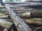 brandhout Den+Wilg, Tuin en Terras, Blokken, Ophalen, 6 m³ of meer, Overige houtsoorten