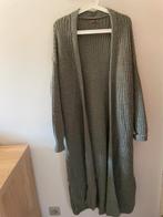 Lange gilet Mintgroen Black Rose TU, Enlèvement