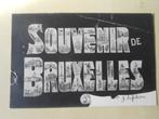 Souvenir de Bruxelles, carte affranchie en 1905, Collections, Affranchie, Bruxelles (Capitale), Enlèvement ou Envoi, Avant 1920