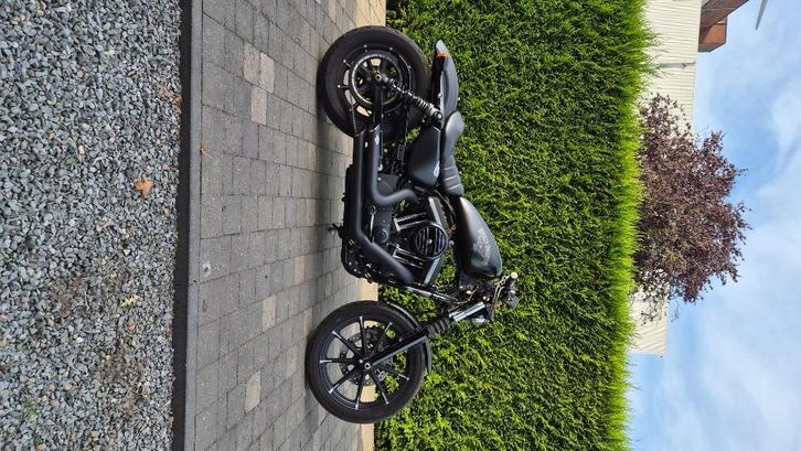 Harley davidson sportster iron 833, Motoren, Motoren | Harley-Davidson, Particulier, Ophalen