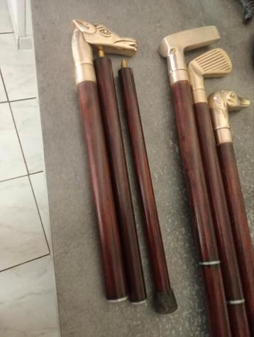 Wandelstok voor reizigers  beschikbaar voor biedingen