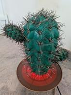 Vintage cactuslamp, Ophalen of Verzenden, Gebruikt, Vintage