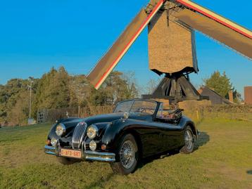Jaguar XK140 DHC Volledige restoratie!, Auto's, Particulier, Te koop, Coupé