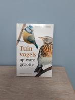 Daniela Strauss - Tuinvogels op ware grootte, Ophalen, Daniela Strauss, Zo goed als nieuw, Vogels