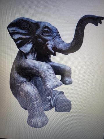 Olifant beschikbaar voor biedingen