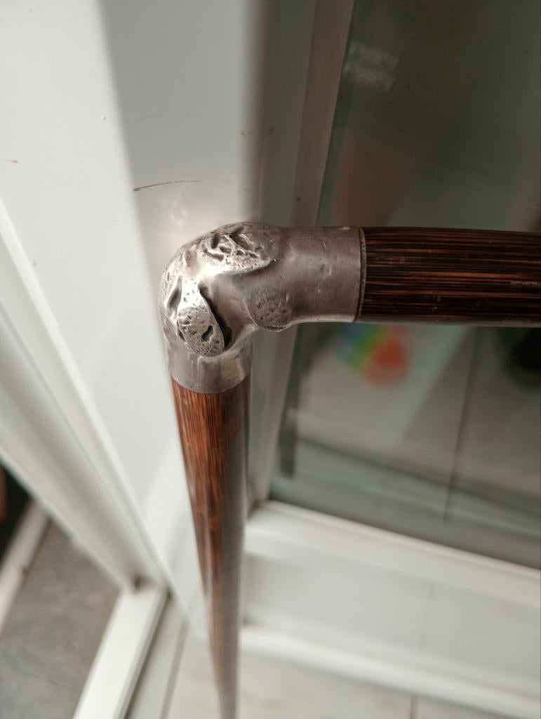 Eeuwenoud rozenhout en zilverriet, Diversen, Wandelstokken