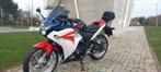 Honda CBR250 ABS IN NIEUWSTAAT, Motoren, Motoren | Honda, 250 cc, LED Verlichting, 1 cilinder, Sport