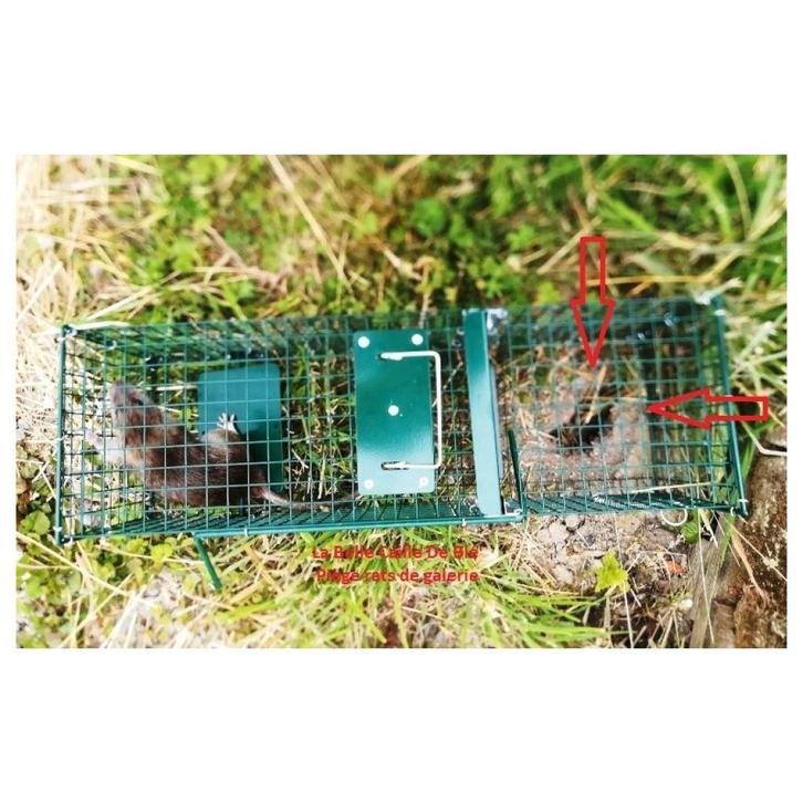 Ongediertebestrijding: slimme rattenval, Doe-het-zelf en Bouw, Thermostaten, Nieuw, Ophalen of Verzenden