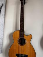Semi-Acoustic Basgitaar + Koffer, Muziek en Instrumenten, Ophalen, Gebruikt, Semi-akoestisch