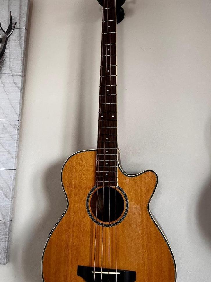 Semi-Acoustic Basgitaar + Koffer, Muziek en Instrumenten, Snaarinstrumenten | Gitaren | Bas, Gebruikt, Semi-akoestisch, Ophalen