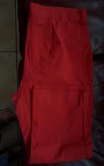 Pantacourt dame rouge 44 46 ceinture élastique, Vêtements | Femmes, Culottes & Pantalons, Comme neuf, Rouge, Enlèvement ou Envoi