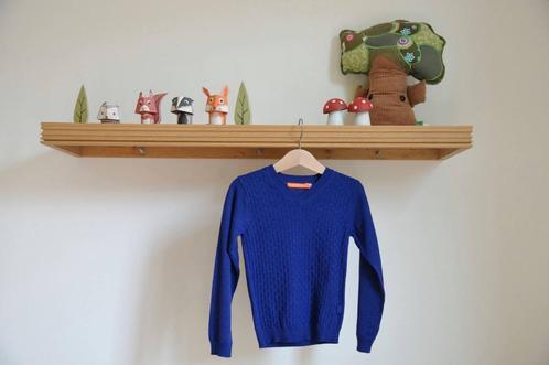 Trui Fred & Ginger kobaltblauw v-hals - Maat 104 - ZGAN, Kinderen en Baby's, Kinderkleding | Maat 104, Zo goed als nieuw, Jongen