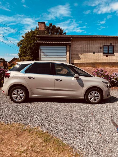 Citroen Picasso C4 PureTech 1.2 Benz., Auto's, Citroën, Particulier, C4, ABS, Achteruitrijcamera, Adaptieve lichten, Airconditioning