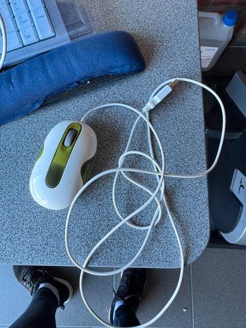 Muis beschikbaar voor biedingen