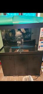 Juwel 350L voor het aquarium, Dieren en Toebehoren, Ophalen