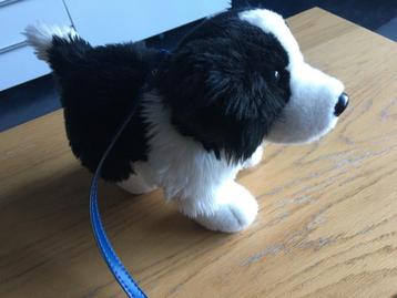 Knuffelhond border collie beschikbaar voor biedingen