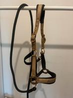 Halter met touw maat cob, Dieren en Toebehoren, Ophalen of Verzenden, Zo goed als nieuw