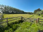 Paddock paradise in eigen beheer, Dieren en Toebehoren, Weidegang, 4 paarden of pony's of meer