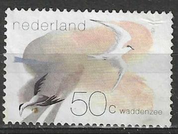 Nederland 1982 - Yvert 1179 - Waddenzee (ST)
