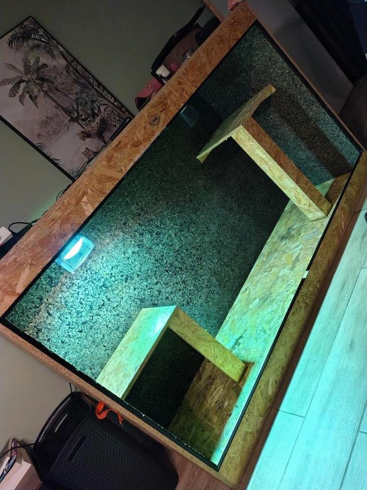 Terrarium groot, Dieren en Toebehoren, Reptielen en Amfibieën | Toebehoren, Zo goed als nieuw, Ophalen