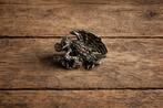 Eagle & Slang Pin - Metaal!, Verzenden, Nieuw, Dier of Natuur, Speldje of Pin