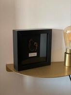 Cadre avec hippocampes rembourrés, Enlèvement ou Envoi, Utilisé, Insecte, Animal empaillé