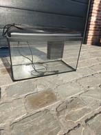 Aquarium met interne filter en lamp, Ophalen, Gebruikt, Leeg aquarium