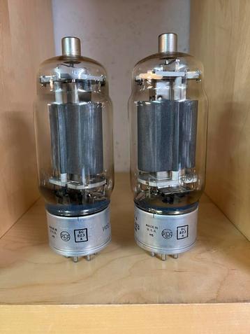 813 Zendbuizen, paar beschikbaar voor biedingen