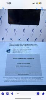Leuke shetlander hengst 3 jaar, Dieren en Toebehoren, Pony's, Hengst