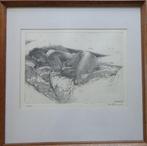 RAF COOREVITS / LIGGEND NAAKT / ZW-W ETS / 42x42cm / KADER, Ophalen of Verzenden